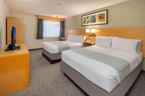 Hotel Nexus; BW Signature Collection - image 21