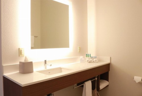 Holiday Inn Express Seattle - Sea-Tac Airport an IHG Hotel - image 7