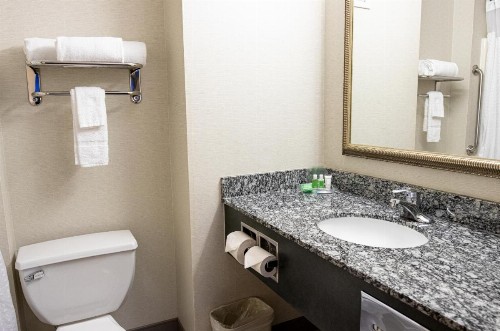 Holiday Inn Seattle DWTN Lake Union an IHG Hotel - image 24