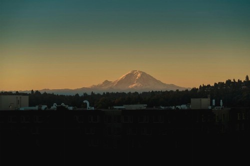 Staypineapple Watertown University District Seattle - image 5