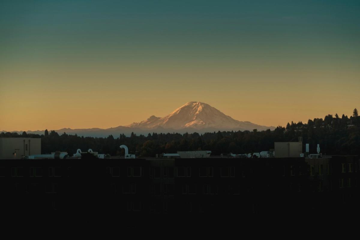 Staypineapple Watertown University District Seattle - image 5