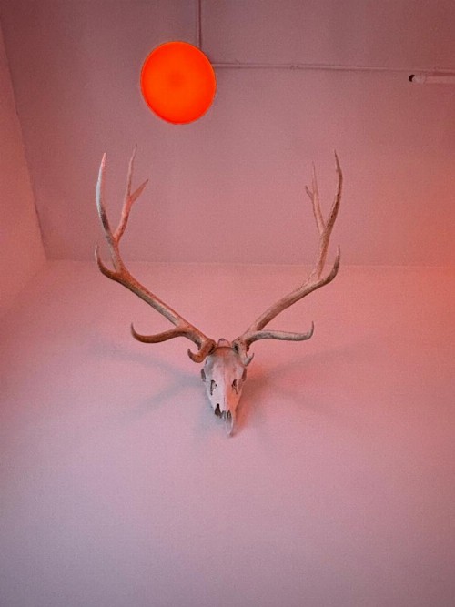 Ace Hotel Seattle - image 31