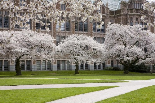 Silver Cloud Hotel - Seattle University of Washington District - image 11