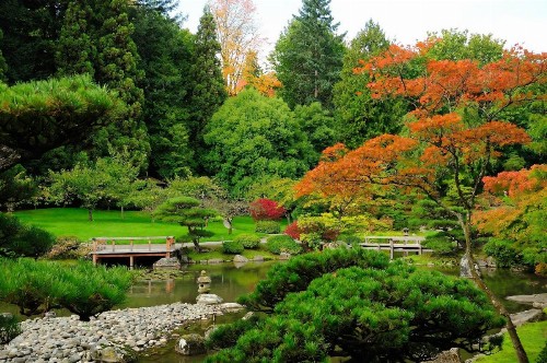 Silver Cloud Hotel - Seattle University of Washington District - image 12