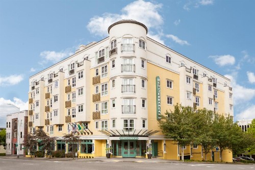 The Mediterranean Inn - image 15