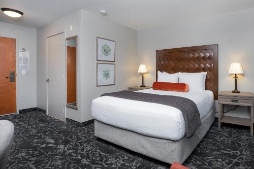 The Mediterranean Inn - image 6