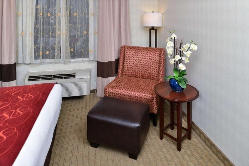 Comfort Suites Airport Tukwila Seattle - image 22