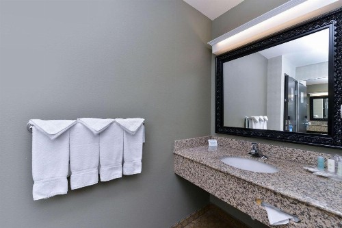 Comfort Suites Airport Tukwila Seattle - image 27