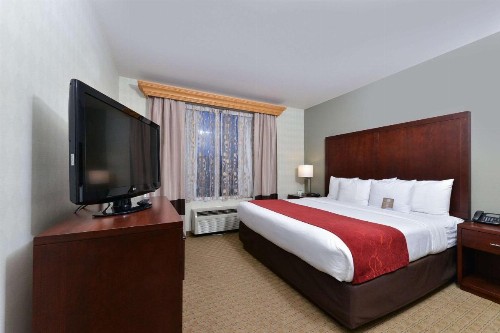 Comfort Suites Airport Tukwila Seattle - image 32