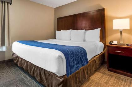 Comfort Inn & Suites SeaTac - image 11