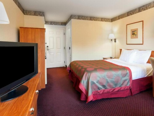 Ramada by Wyndham SeaTac Airport North - image 14