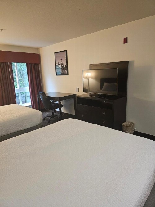 Ramada by Wyndham SeaTac Airport - image 13