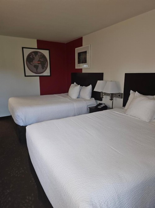 Ramada by Wyndham SeaTac Airport - image 9