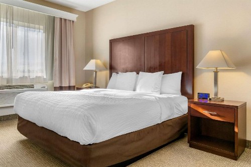 Comfort Inn & Suites Seattle North - image 16