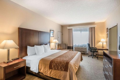 Comfort Inn & Suites Seattle North - image 2