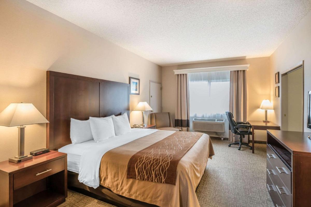 Comfort Inn & Suites Seattle North - image 2