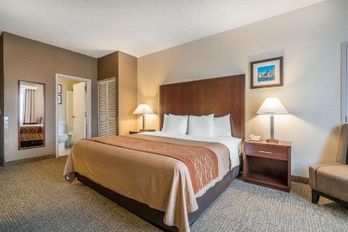 Comfort Inn & Suites Seattle North - image 30
