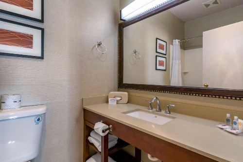 Comfort Inn & Suites Seattle North - image 34