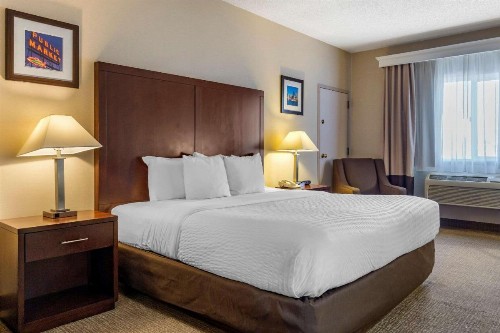 Comfort Inn & Suites Seattle North - image 5