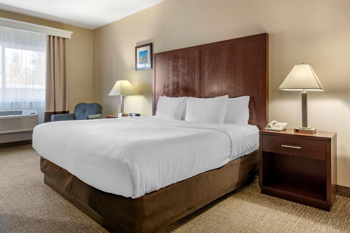 Comfort Inn & Suites Seattle North - image 7