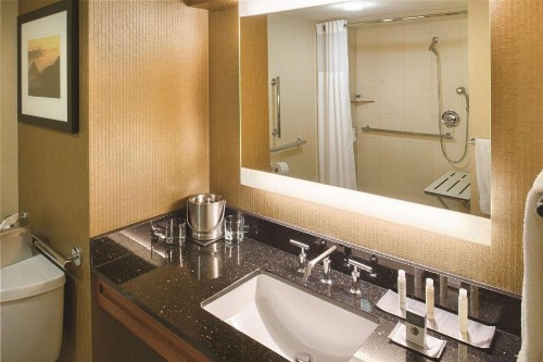 DoubleTree by Hilton Seattle Airport - image 10