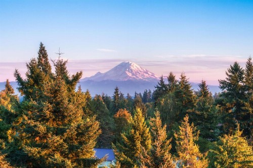 DoubleTree by Hilton Seattle Airport - image 13