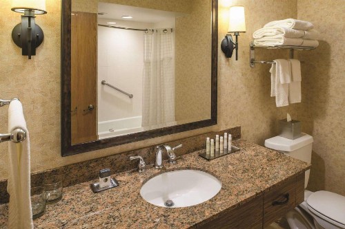 DoubleTree by Hilton Seattle Airport - image 9