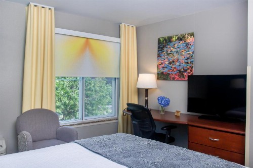 Belltown Inn - image 17