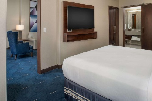 Embassy Suites By Hilton Seattle Downtown Pioneer Square - image 21