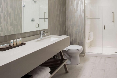 Embassy Suites By Hilton Seattle Downtown Pioneer Square - image 38