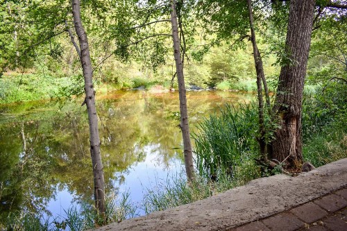 Cedars Resort - image 50