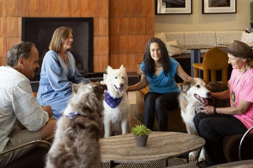 Sky Rock Inn of Sedona - image 7