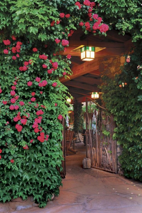 El Portal Sedona Hotel - image 17