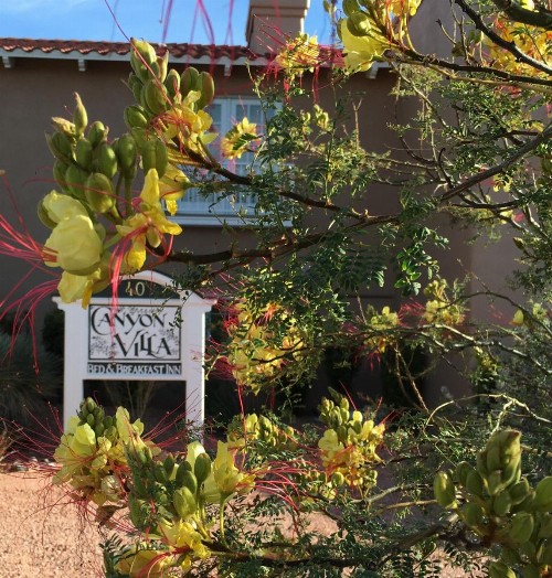 Canyon Villa Bed & Breakfast Inn of Sedona - image 13