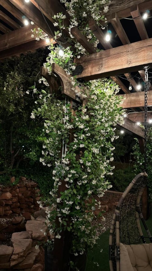 Lantern Light Inn - Romantic Getaway - image 50