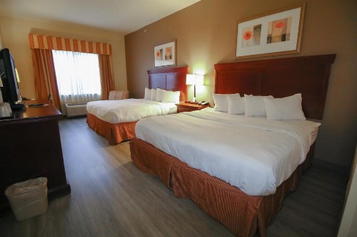 Country Inn & Suites by Radisson Tampa Casino Fairgrounds FL - image 19