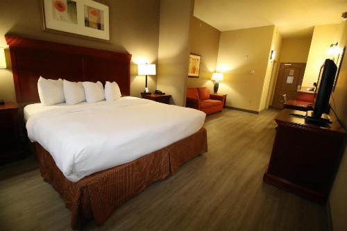 Country Inn & Suites by Radisson Tampa Casino Fairgrounds FL - image 20