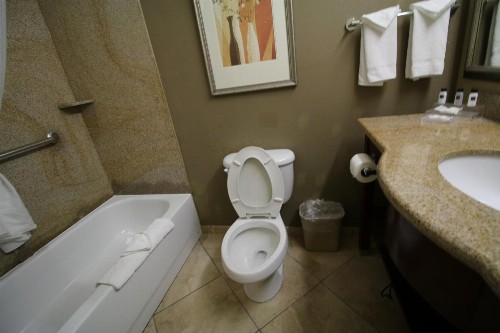 Country Inn & Suites by Radisson Tampa Casino Fairgrounds FL - image 23