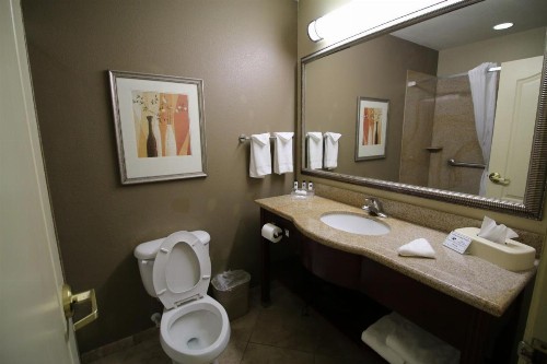 Country Inn & Suites by Radisson Tampa Casino Fairgrounds FL - image 35