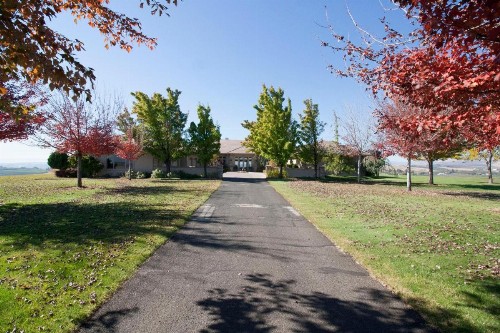 Chateau Valhalla - image 6