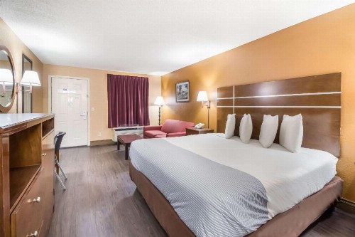 Star Plus Inn & Suites - image 17