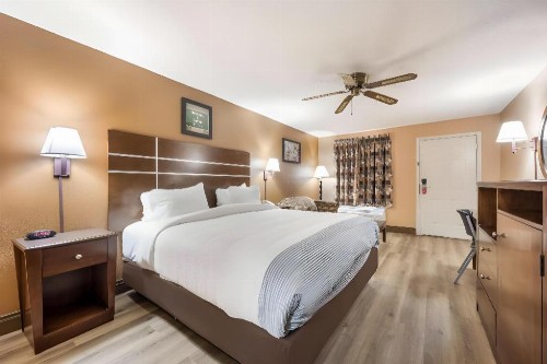 Star Plus Inn & Suites - image 19