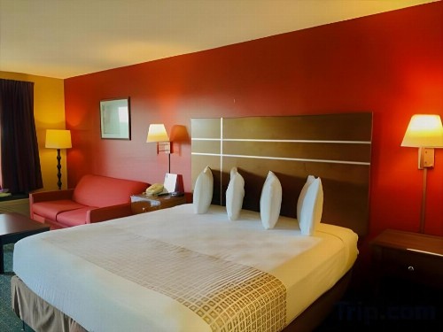 Star Plus Inn & Suites - image 23