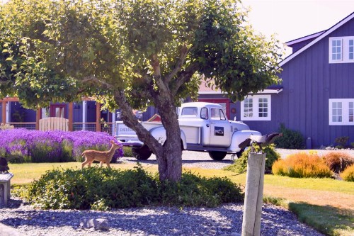 Dungeness Barn House Bed and Breakfast - image 43