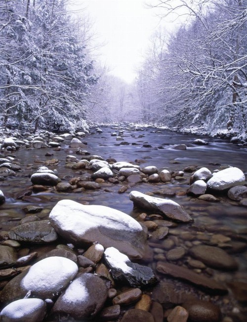 Club Wyndham Smoky Mountains - image 45