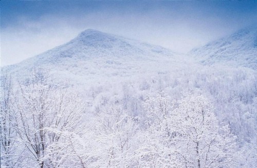 Club Wyndham Smoky Mountains - image 47