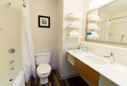Hampton Inn Sevierville - image 17