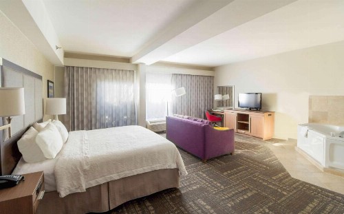 Hampton Inn Sevierville - image 30
