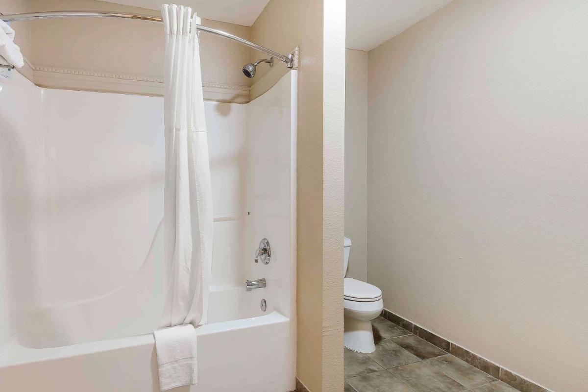 Quality Inn & Suites Sevierville - Pigeon Forge - image 6