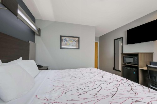 Econo Lodge Sevierville / Pigeon Forge - image 17